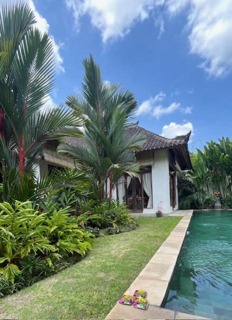 Villa Exotica Ubud  Ngoại thất bức ảnh